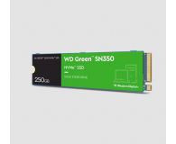 Sandisk 250GB M.2 PCIe NVMe Green SN350 - 1291254 - zdjęcie 2